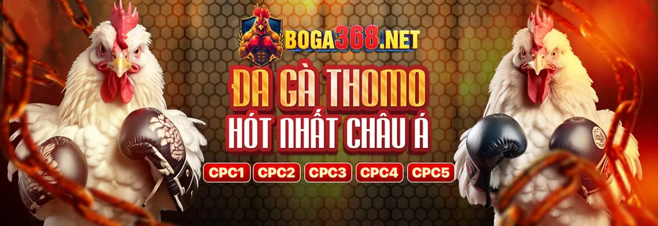 Hình ảnh banner liên hệ 9vnd trang chủ chính thức